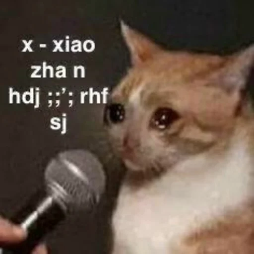 млекопитающее животное микрофон