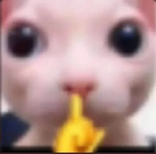 Sticker котики :: @fStikBot - 2