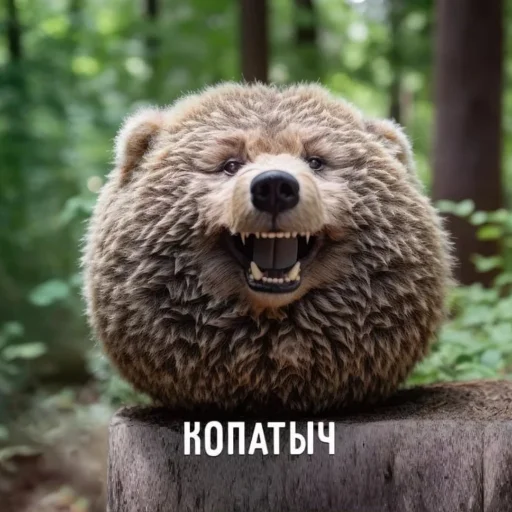 СмешарикиIRL - 