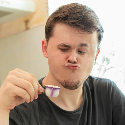 Человек человеческое лицо комнатный