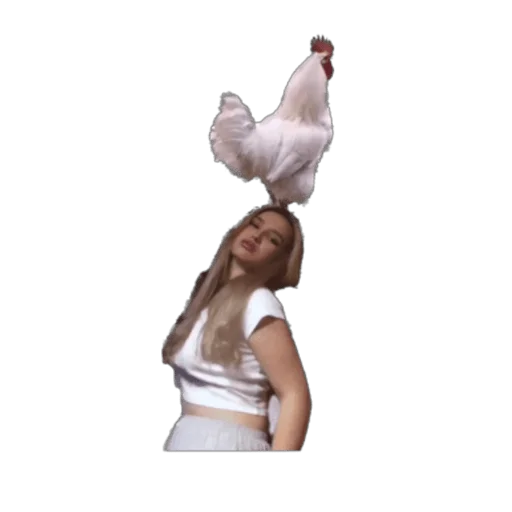 Sticker KimBilir - 1