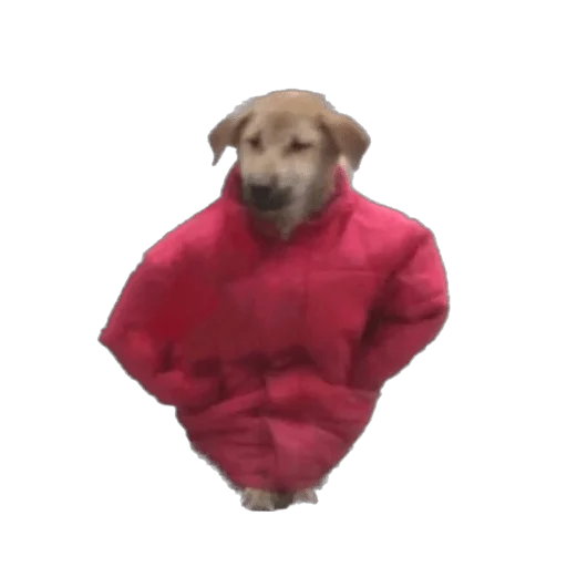 Sticker KimBilir - 1