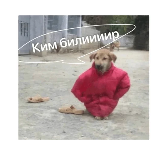 Стикер KimBilir - 1