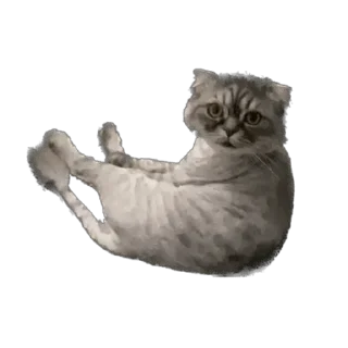 Sticker Ким белир - 7