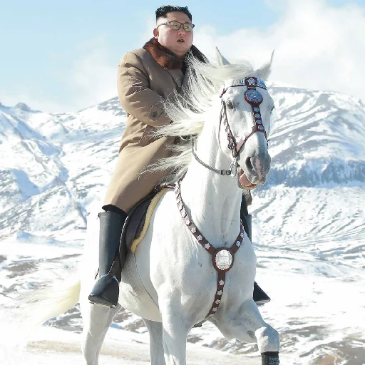 Sticker KimJongUnFaces - 1