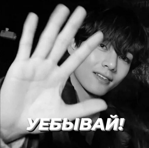 Sticker Kimtaevi - 1