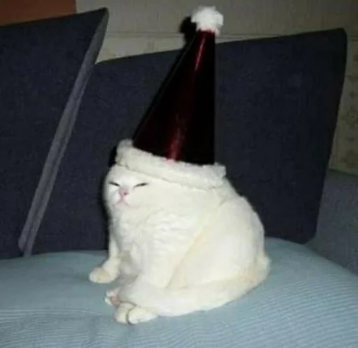 комнатный Белый шляпа