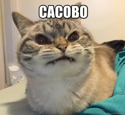 Стикер Добрые админы Вертикалей - 11