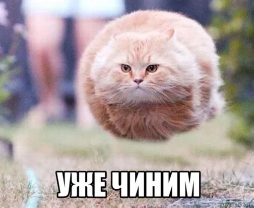 Стикер Добрые админы Вертикалей - 9