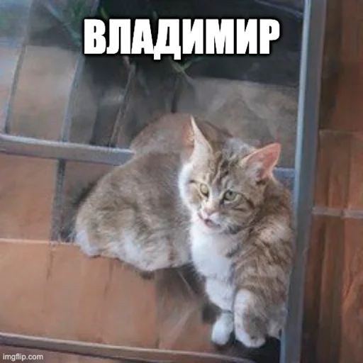 Стикер Добрые админы Вертикалей - 8