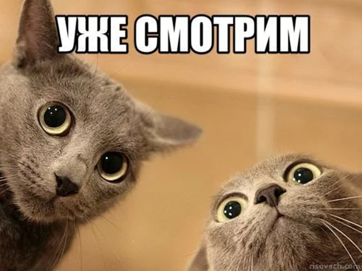 Стикер Добрые админы Вертикалей - 6