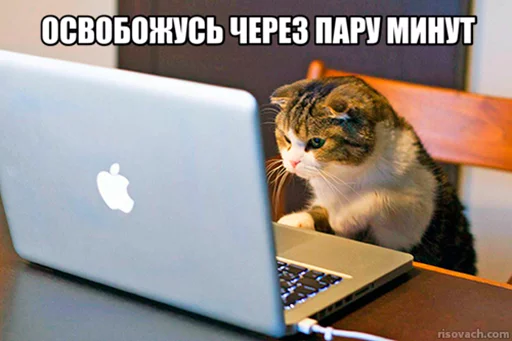 Стикер Добрые админы Вертикалей - 5