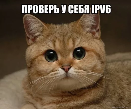 Стикер Добрые админы Вертикалей - 4