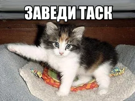 Стикер Добрые админы Вертикалей - 2