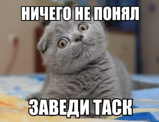 Добрые админы Вертикалей - 