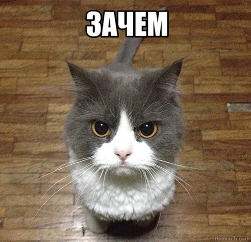 Стикер Добрые админы Вертикалей - 1