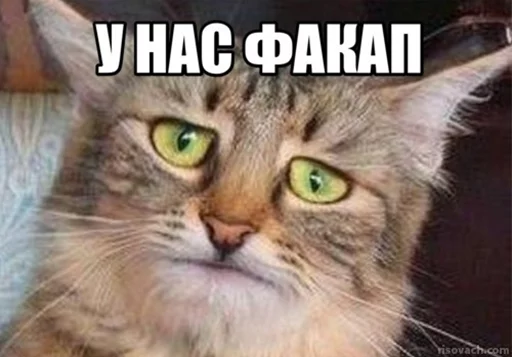 Стикер Добрые админы Вертикалей - 0