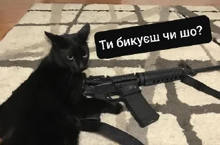 Sticker Стикеры котофрукта! - 8