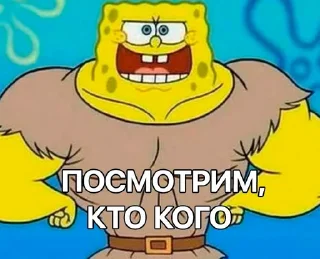 Sticker Стикеры котофрукта! - 2