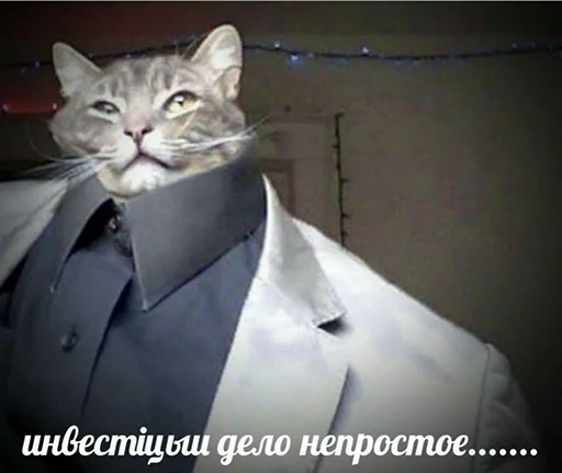 collar necktie mammal