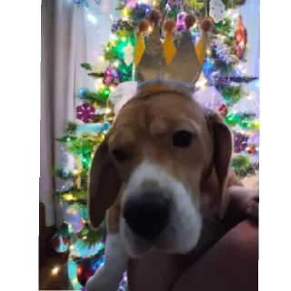 Стикер Кирилл - 11