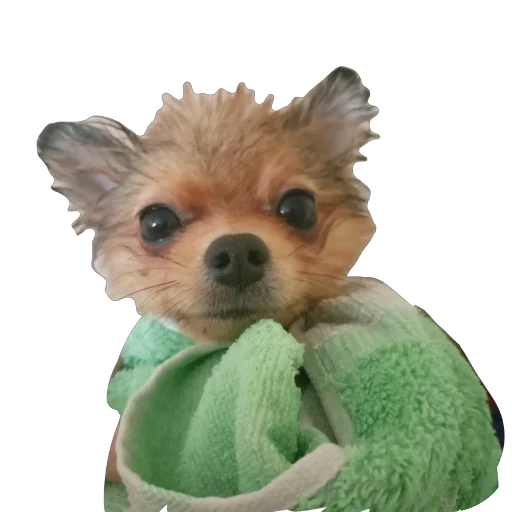 Стикер Kiryaj9 - 1