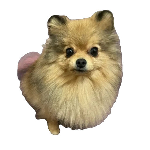 Стикер Kiryaj9 - 1