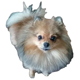 Sticker Киряй - 11