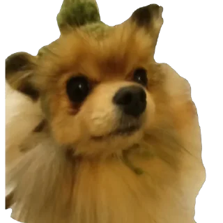 Sticker Киряй - 8