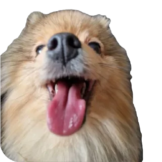 Sticker Киряй - 6