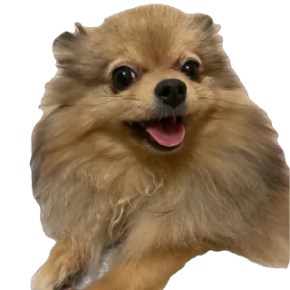 Sticker Киряй - 5