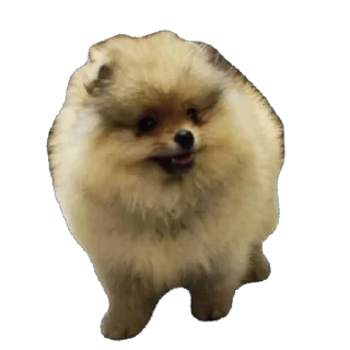 Sticker Киряй - 9