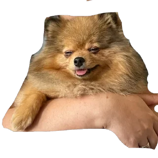 Sticker Киряй - 10