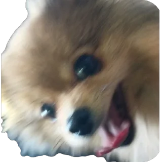 Sticker Киряй - 3