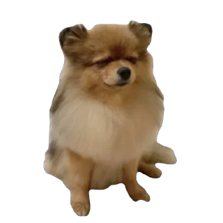 Sticker Киряй - 4