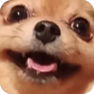 Sticker Киряй - 1