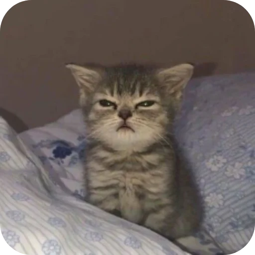 Стикер KiryushkaBog - 1