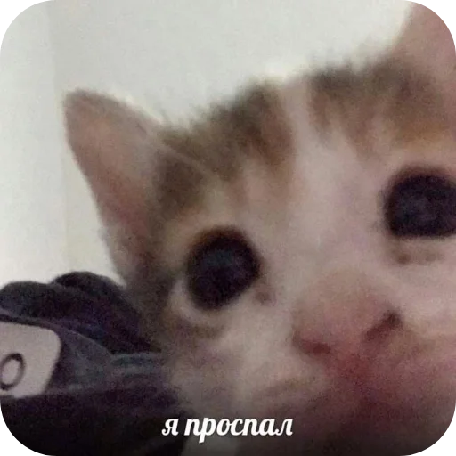 Стикер KiryushkaBog - 1