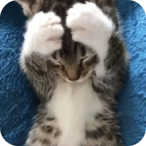 Стикер KiryushkaBog - 1