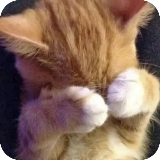 Стикер KiryushkaBog - 1