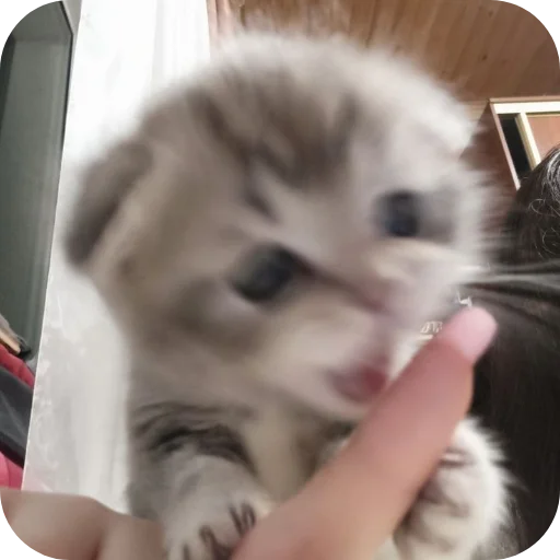 Стикер KiryushkaBog - 1