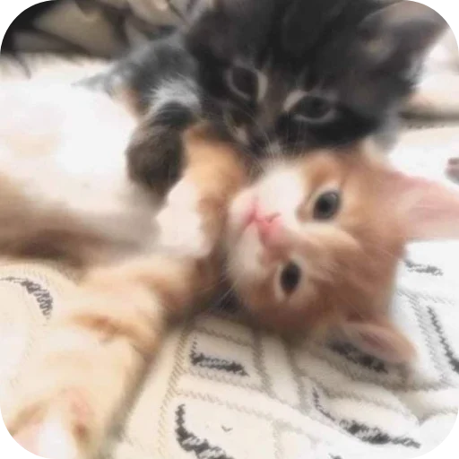 Sticker KiryushkaBog - 1