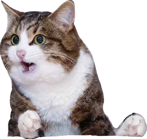 Стикер KisaaaR - 1