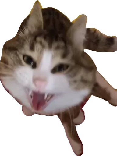 Стикер KisaaaR - 1