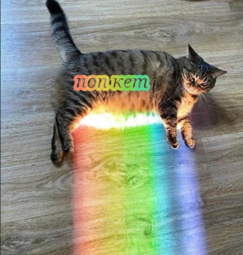 Sticker Kisiks_124 - 1