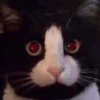 Стикер Кисики - 1