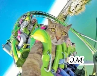 Стикер Кисики - 5