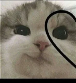 Стикер Кисики - 3