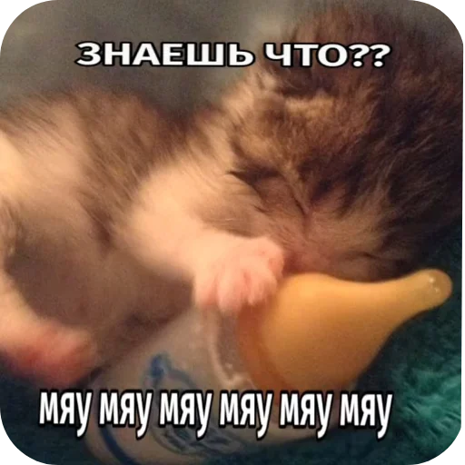 Sticker Kiski8269 - 1