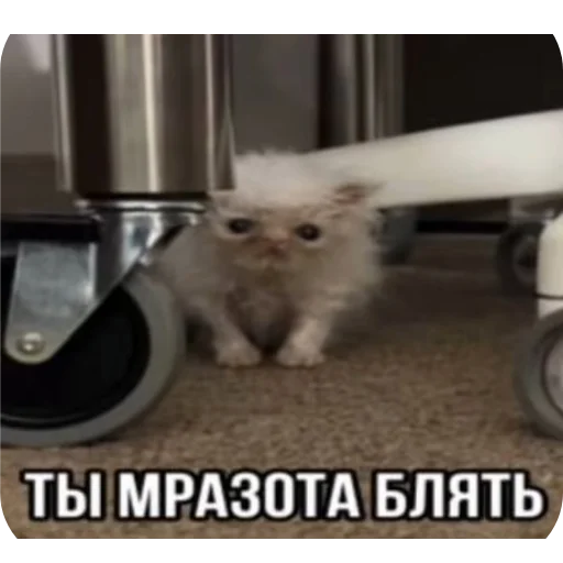 Sticker Kiski8269 - 1